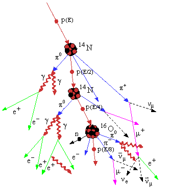 Рис. 1.