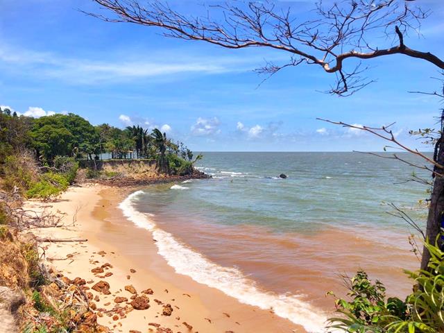 ilha_de_marajo