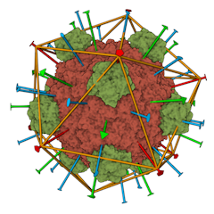 1RB8 Annotated Assembly