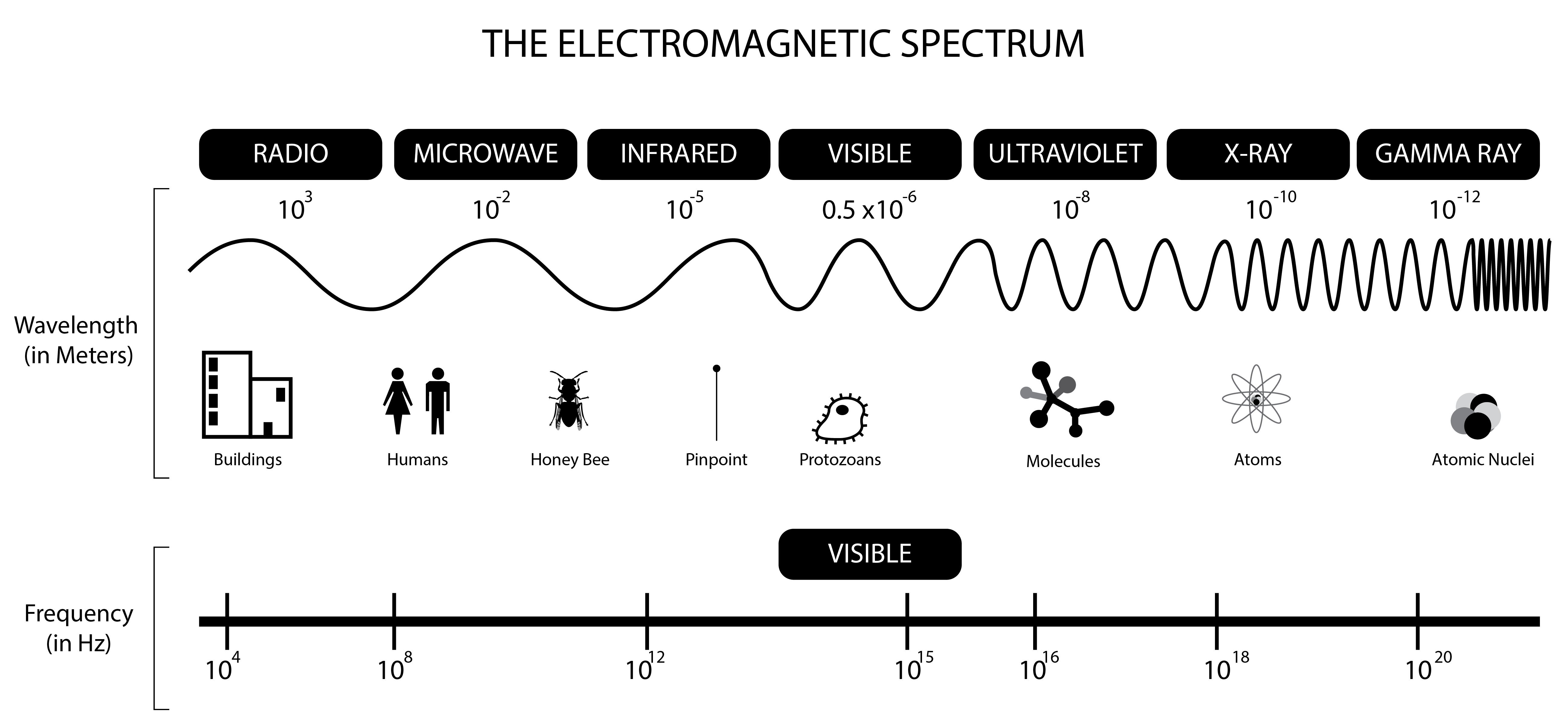 EM Spectrum